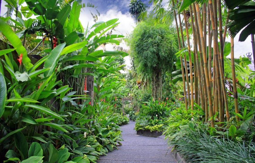 KajaNe Mua Ubud | هتل کاجان موا