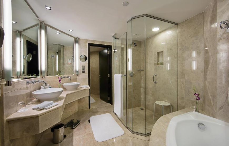 Ramada Plaza  Dubai | هتل  رامادا پلازا