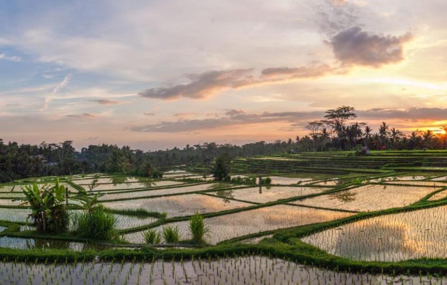Stanagiri Villas Ubud | هتل  ویلا استانگیری لاکچری