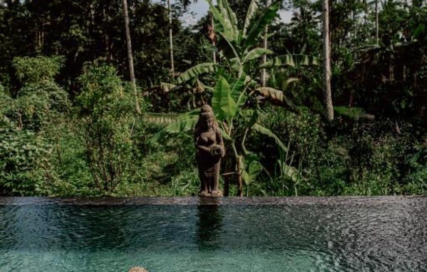 Stanagiri Villas Ubud | هتل  ویلا استانگیری لاکچری