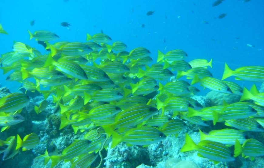 Adaaran Select Hudhuran Maldives | هتل اداران سلکت مالدیو