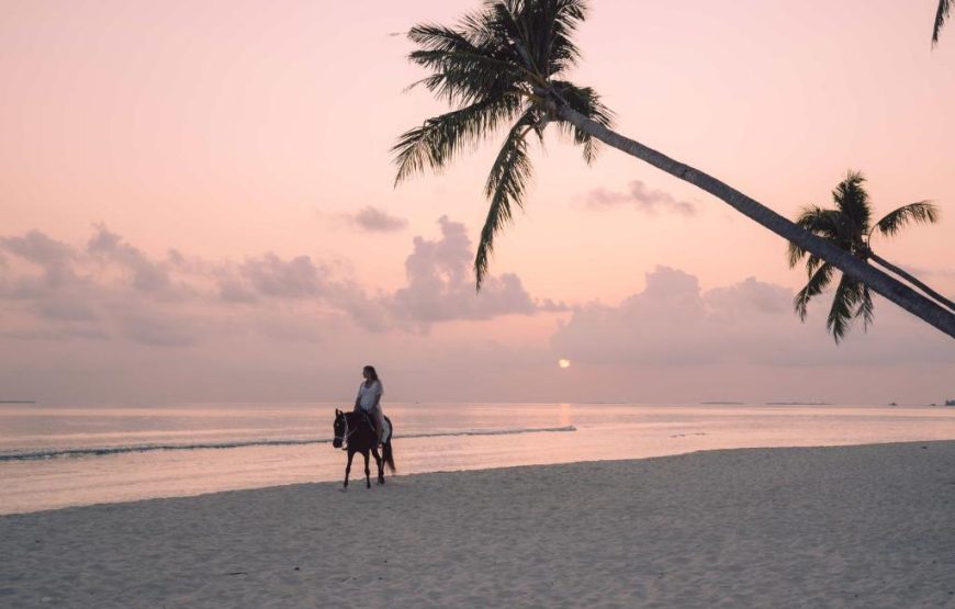 Siyam World Maldives | هتل سیام ورلد الدیو