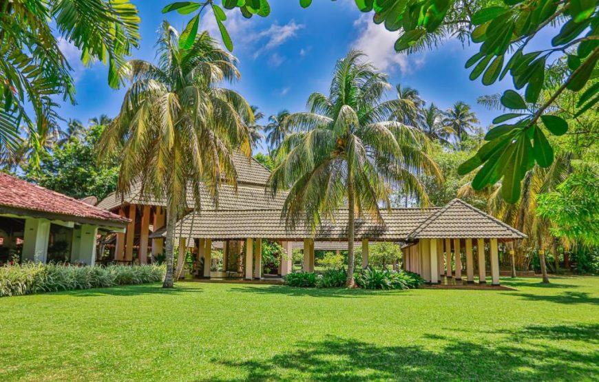 The Palms Bentota Sri Lanka | هتل پالمز بنتوتا