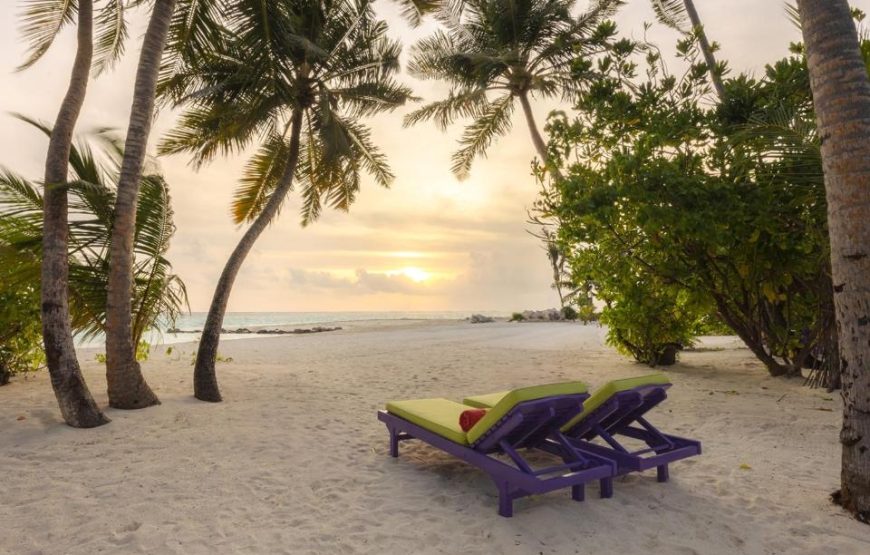 Villa Park( Sun Island ) Maldives | هتل ویلا پارک مالدیو