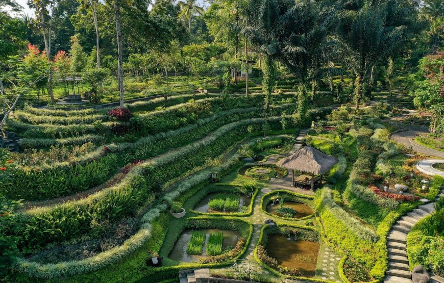 Padma Resort Ubud | استراحتگاه پادما اوبود