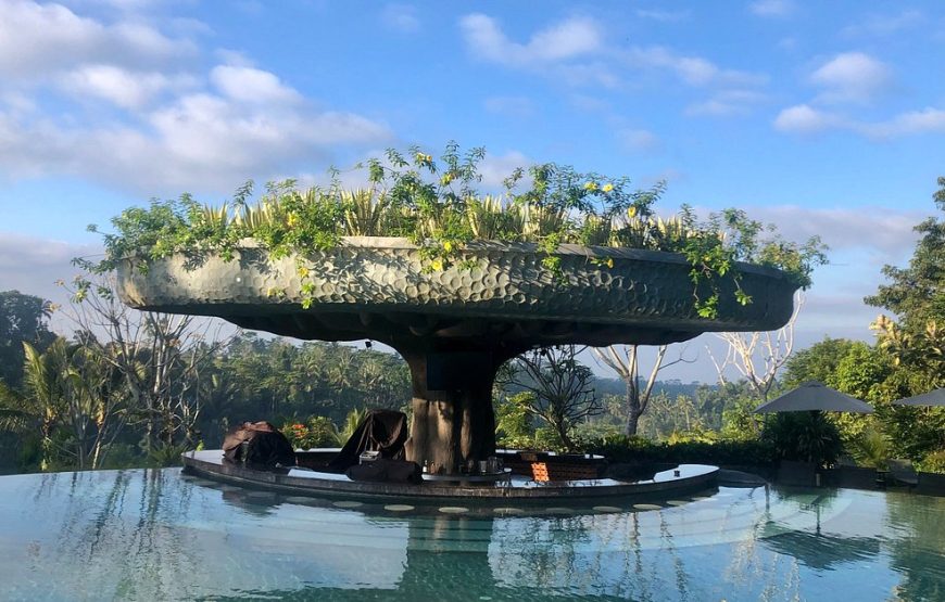 Padma Resort Ubud | استراحتگاه پادما اوبود