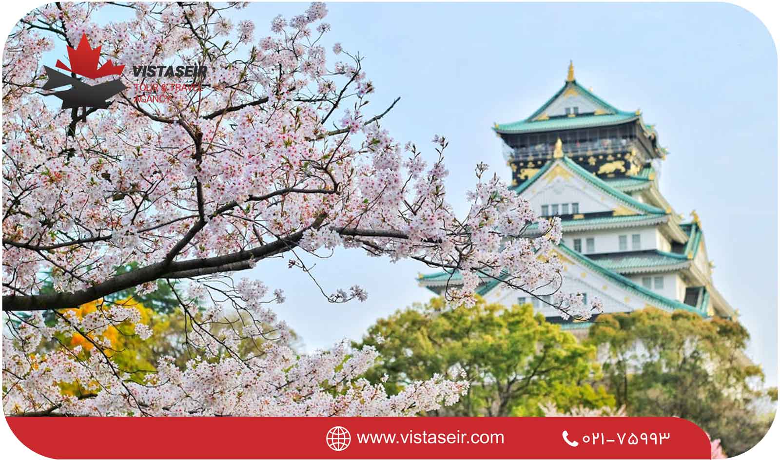 🌟 دلایل انتخاب تور ژاپن
