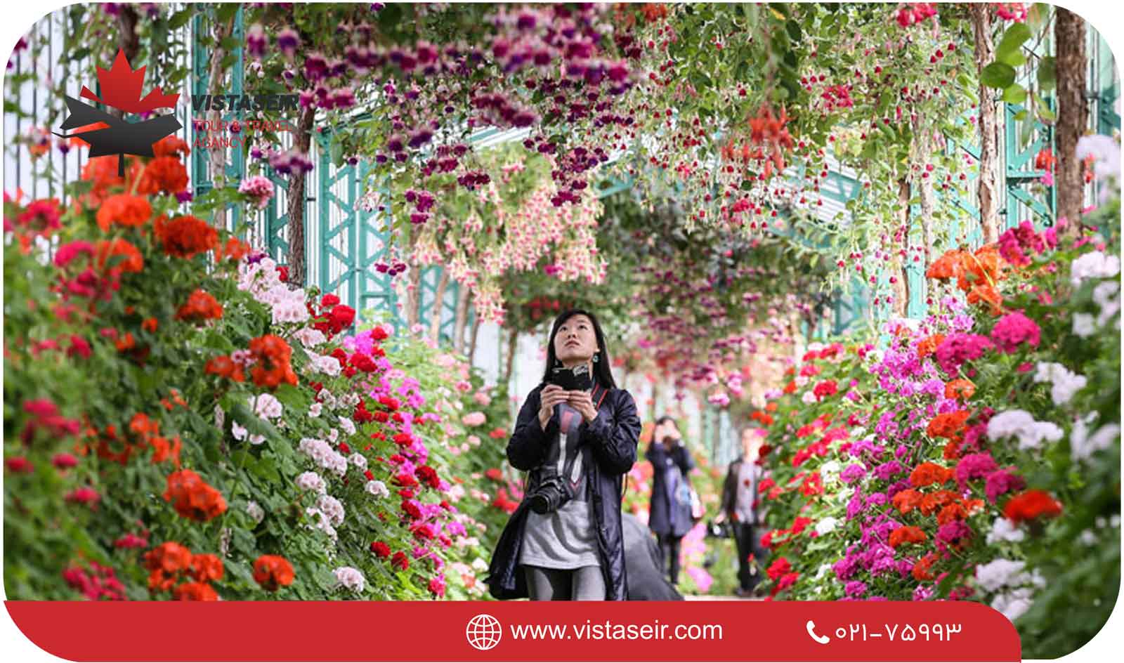 گلخانه سلطنتی لایکن: جواهری سبز در بروکسل 2025