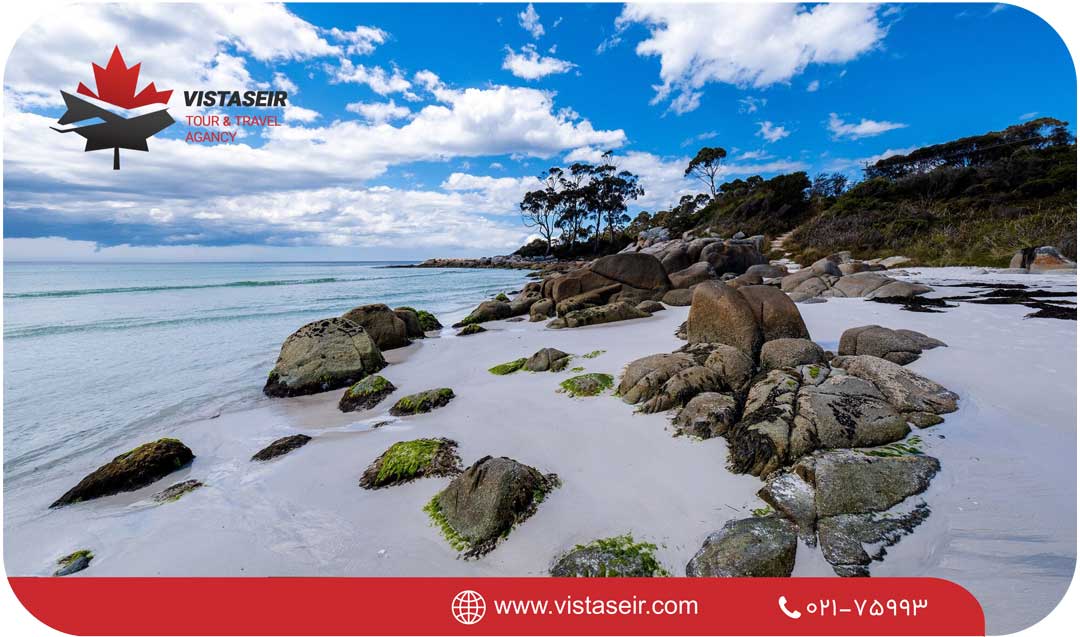 دیدار با پنگوئن‌ها در ساحل بولدرز (Boulders Beach) یکی از بهترین جاذبه های گردشگری و تفریحی آفریقای جنوبی