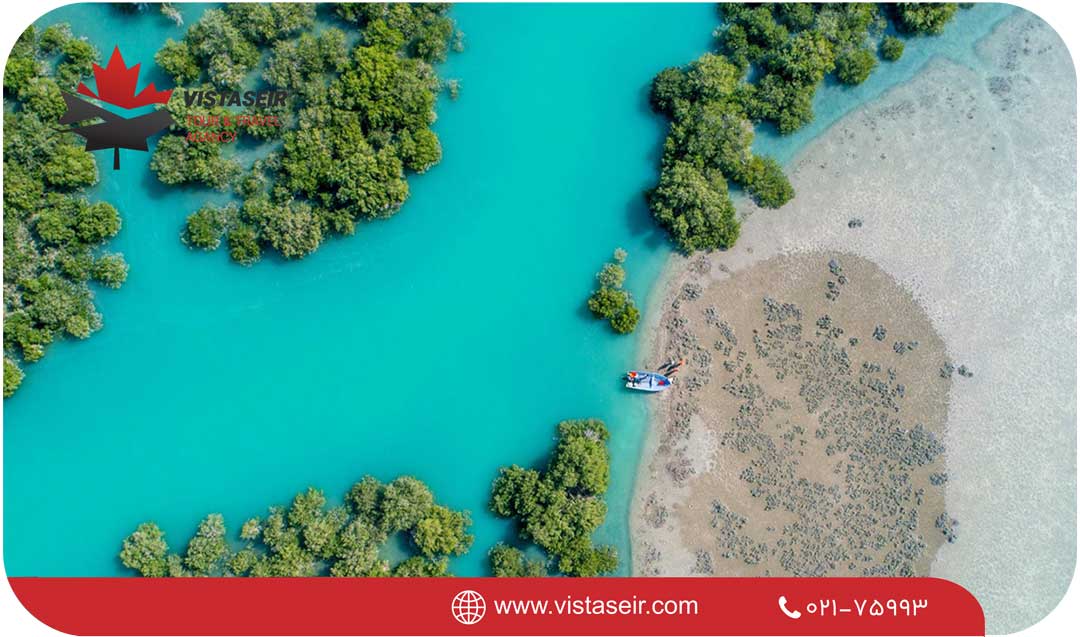 🌴 جاذبه های طبیعی شگفتانگیز قشم در سال 2026 10 جنگلهای حرا قشم؛ دنیای جادویی میان آب و درخت! یکی از جاذبه های طبیعی شگفتانگیز قشم